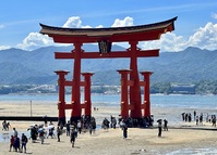 Miyajima torii Hiroshima Japan
