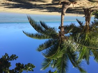 Tropisch strand palmbomen Djoser