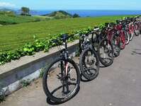 Wandelfietsreis Azoren Fietsen Kust Djoser
