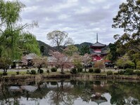 Daikakuji tempel  Osawa Kyoto Japan