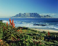 Tafelberg Zuid-Afrika Djoser 