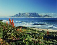 Tafelberg Uitzicht Zuid-Afrika Junior Djoser