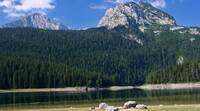 Dumitor Balkan