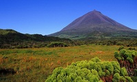 Vulkaan pico Azoren
