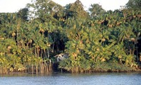 Marajó - Belém