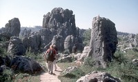 Stenen woud Kunming China en Tibet Djoser
