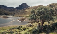 El Cajas nationaal park Ecuador Djoser