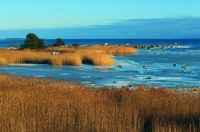 Lahemaa nationaal park