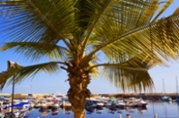 Haven Muscat, oman