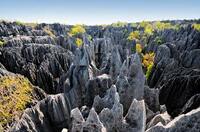 Tsingy de Bemaraha Madagascar