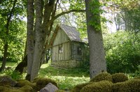 Saaremaa bos Estland