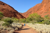 Australie Outback Kata Tjuta Olgas