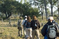 Zuid Afrika Krugerpark gamewalk Djoser