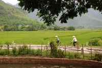 Rijstvelden Fiets Vietnam Djoser 