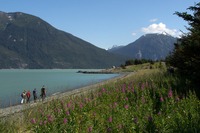 Denali national park lake alaska