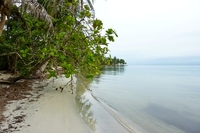  Cahuita Costa Rica Strand Djoser 