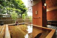 Bad Hoshokaku ryokan Takayama Japan