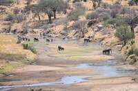 Hwange nationaal park