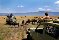 Tanzania Ngorongorokrater gamedrive Djoser
