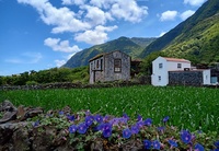 Serra do Topos Sao Jorge  Azoren