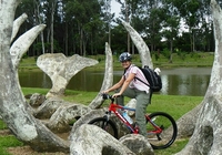 Costa Rica Fiets San Jose Djoser