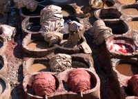 Fes Leerlooierij Marokko Djoser