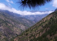 La Palma bergen