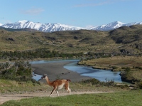 Torres del Paine Chili