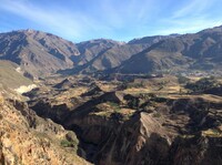 Colca Canyon Peru