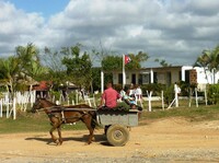 Paard en wagen Cuba