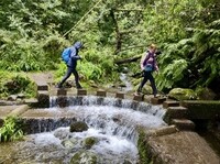 Wandelen langs groene levada Madeira Djoser