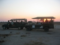 Chobe gamedrive