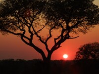 Zuid Afrika Krugerpark zonsondergang Djoser