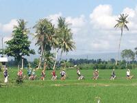 Landschap Fietsen Indonesie Djoser 