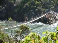 National park Tsitsikamma Plettenberg Bay Zuid-Afrika Djoser 