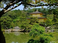 Gouden Tempel Kyoto Japan Djoser