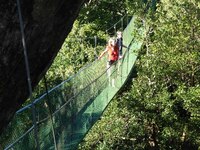 Hangbrug Costa Rica Natuur Wandel en Fiets Djoser