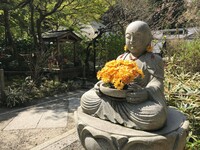 Boeddha met bloemen Kamakura Japan