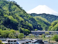 Mt. Fuji Japan