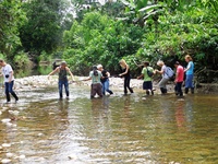 Rivier Jungle Ecuador