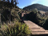 horton plains sri lanka