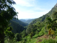 Horton Plains Sri Lanka