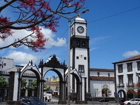 Djoser Azoren Ponta Delgada Sao Miguel 