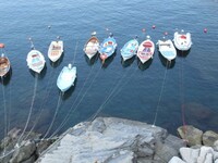 Bootjes Cinque Terre Italië