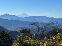 Mt Takao Tokyo Japan