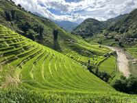 sapa rijstveld vietnam 