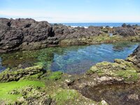 Biscoites natuurlijke poelen Sao Miguel Djoser