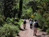 Cinque Terre bos Italie