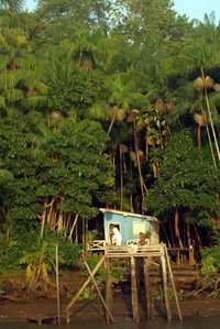 Bewoners van de Amazone Brazilië