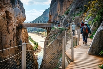 Excursie Caminito del Rey Djoser Family